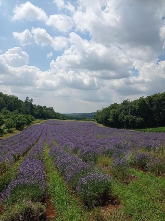 Alloggio La Perla, Quiete Ed Eleganza Con Vista Barbarano Vicentino Luaran gambar