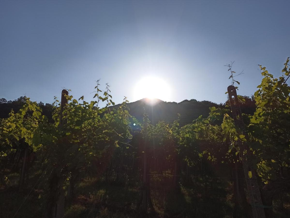 Alloggio La Perla, Quiete Ed Eleganza Con Vista Barbarano Vicentino Luaran gambar