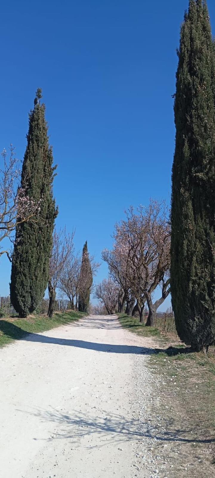 Alloggio La Perla, Quiete Ed Eleganza Con Vista Barbarano Vicentino Luaran gambar